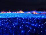 img0058.jpg