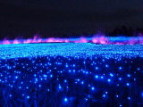 img0059.jpg