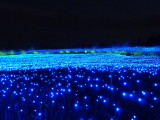 img0063.jpg