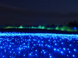 img0064.jpg
