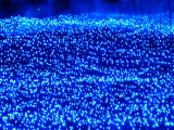 img0066.jpg
