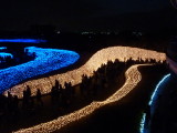 img0069.jpg