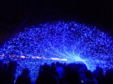 img0071.jpg