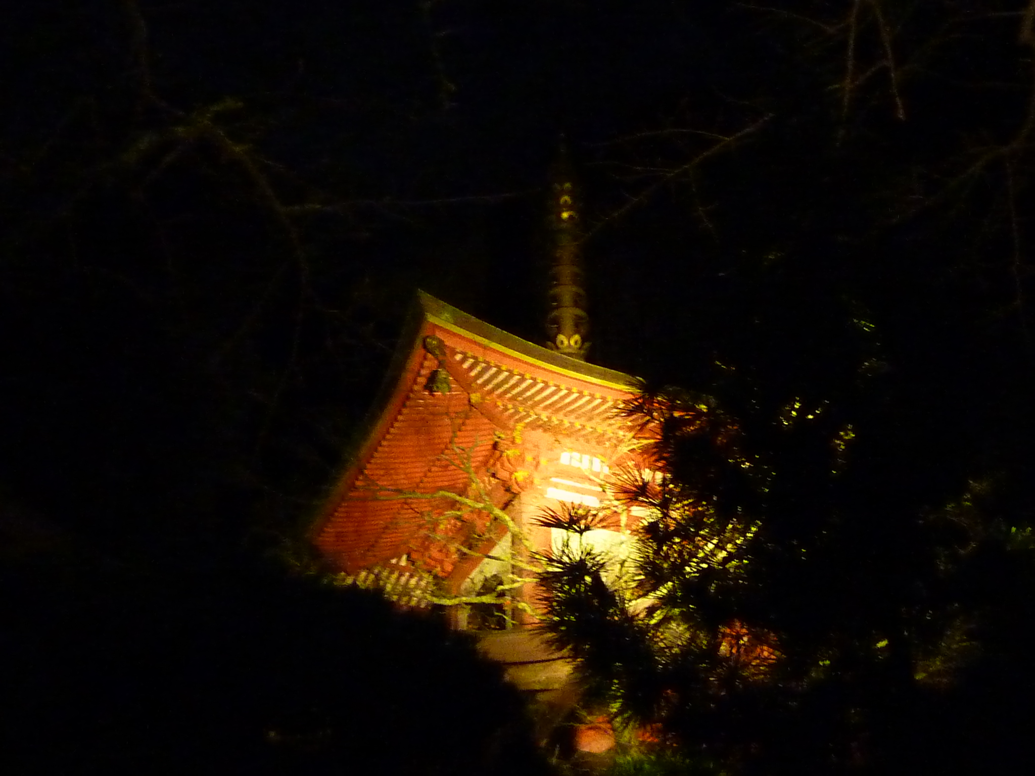 P1000729.JPG