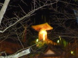 img0009.jpg