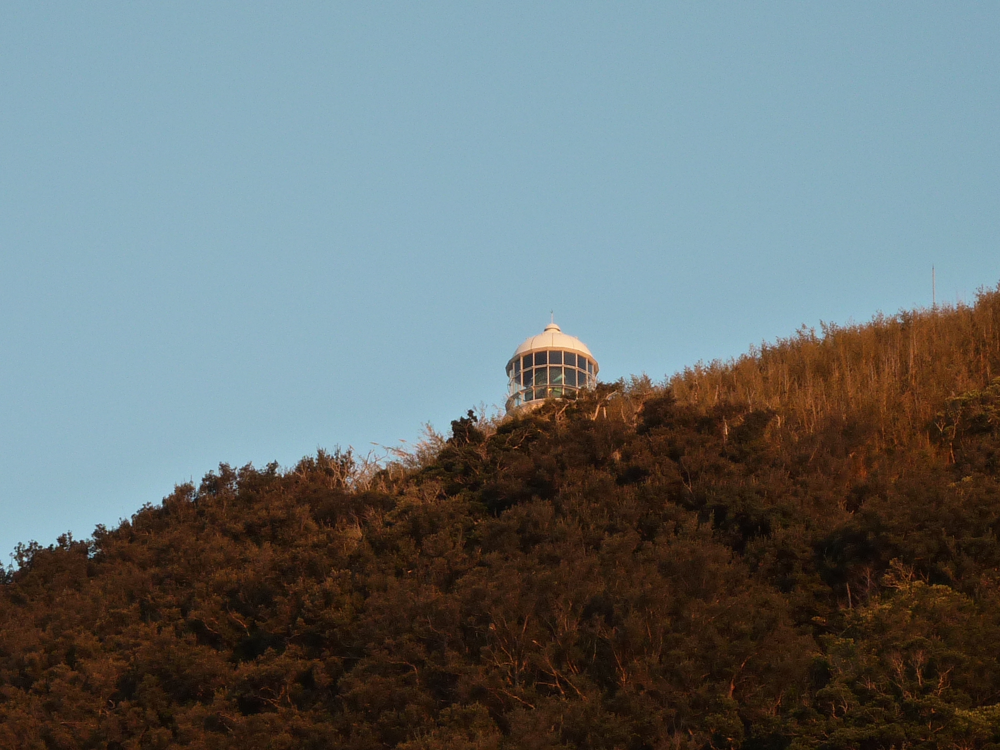 P1000799.JPG