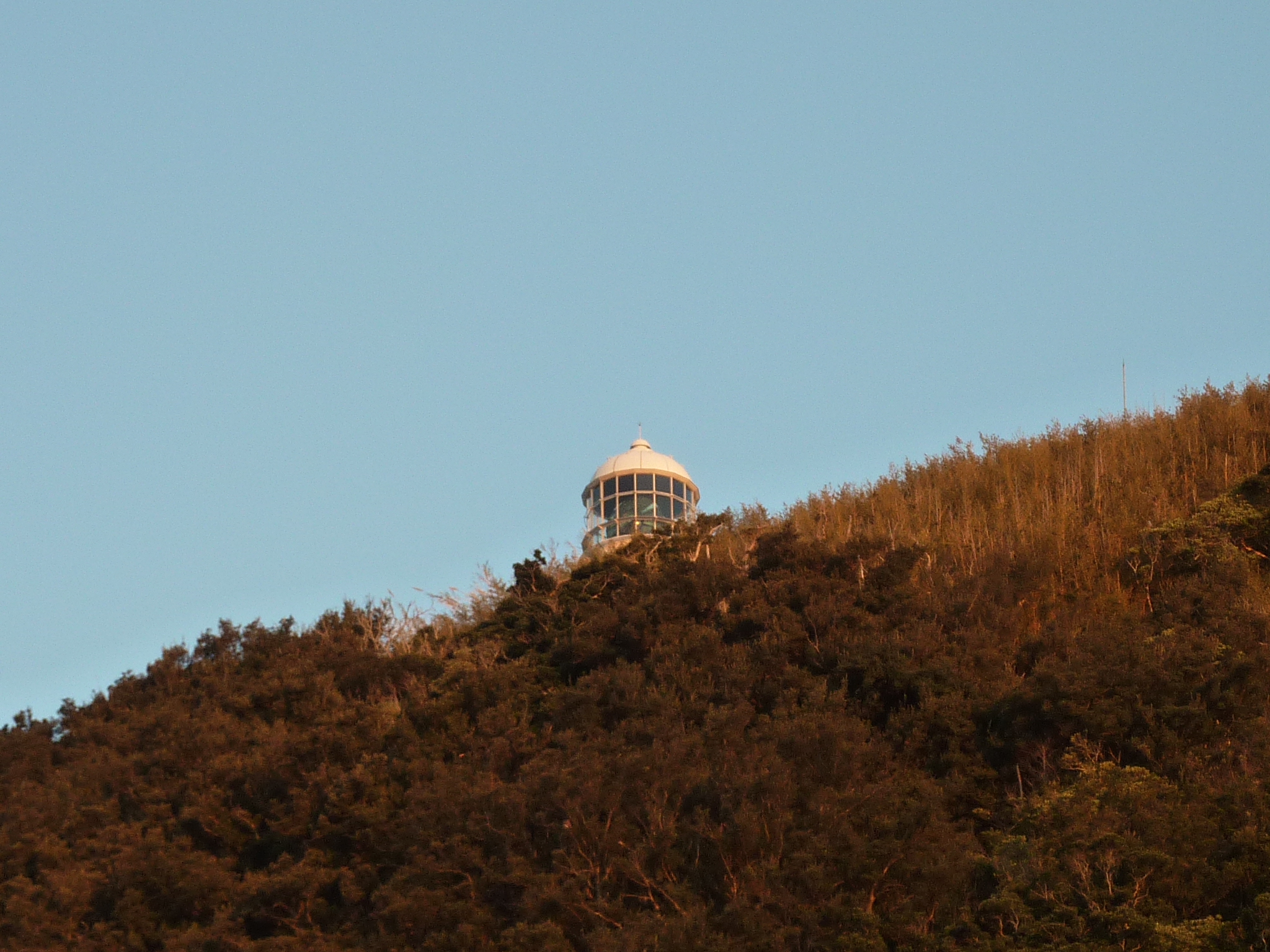 P1000800.JPG