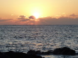 img0016.jpg