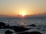 img0019.jpg