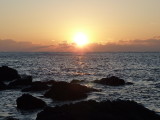 img0029.jpg