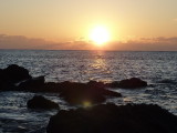 img0042.jpg