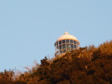 img0056.jpg