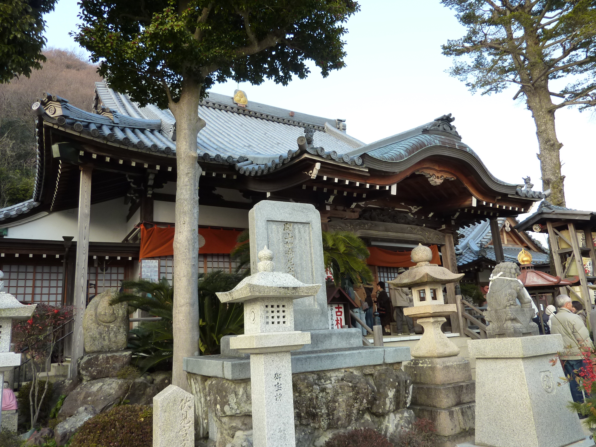 P1000892.JPG