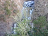 img0010.jpg
