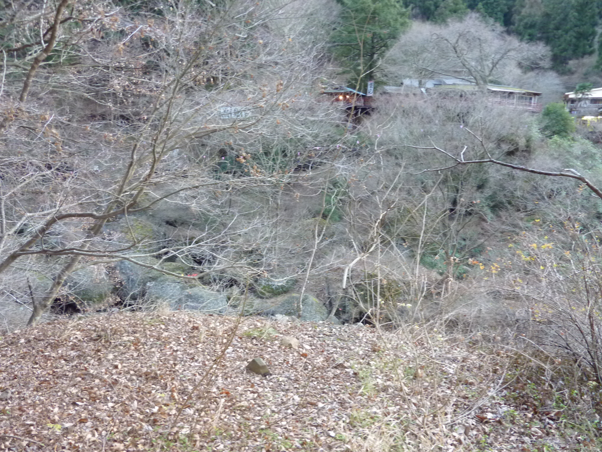 P1000943.JPG