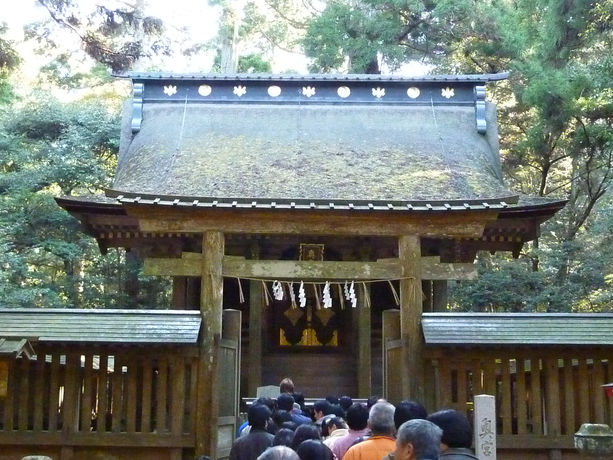 P1010014.JPG