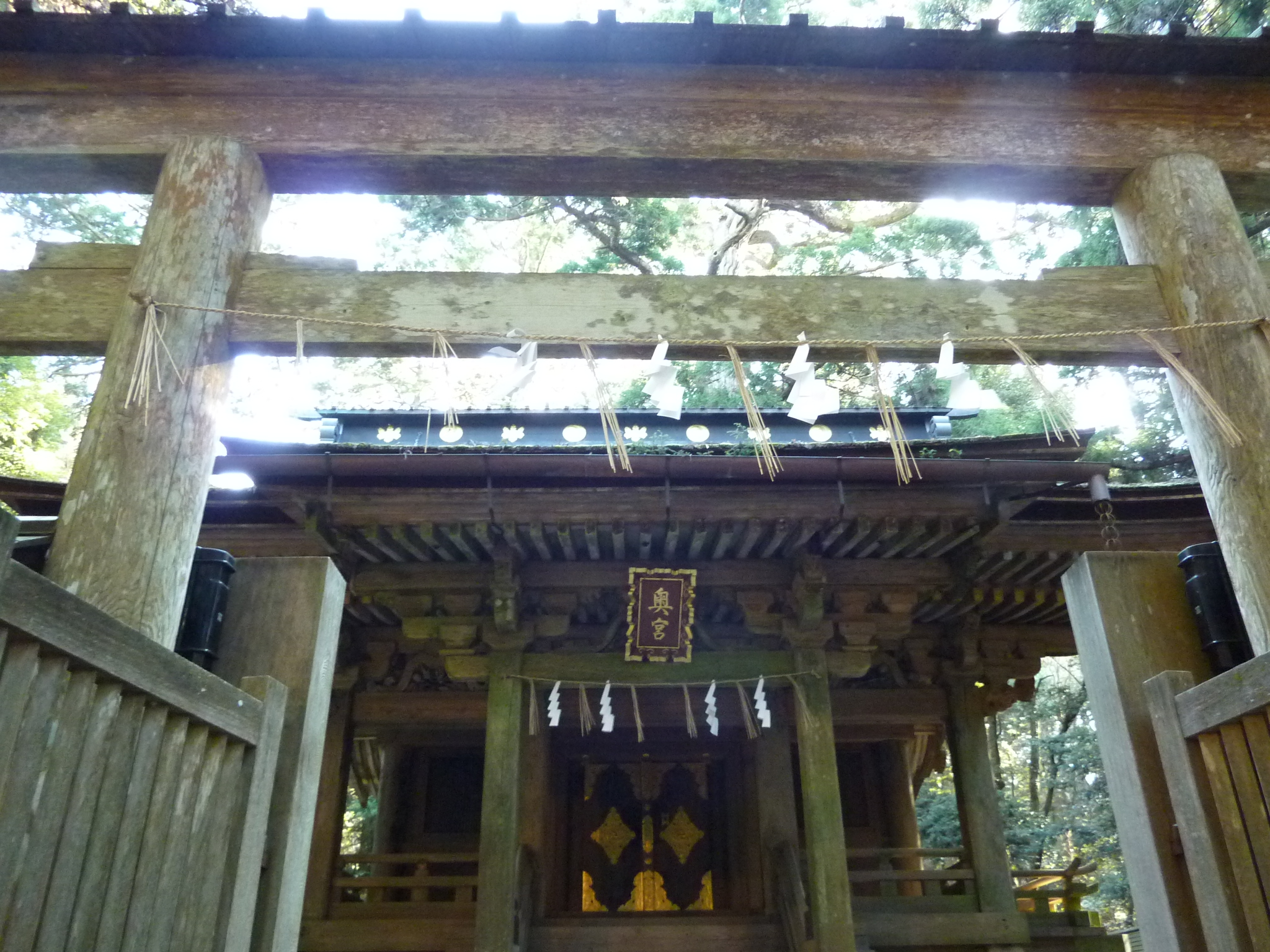 P1010015.JPG