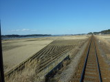 img0013.jpg