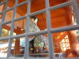 img0025.jpg