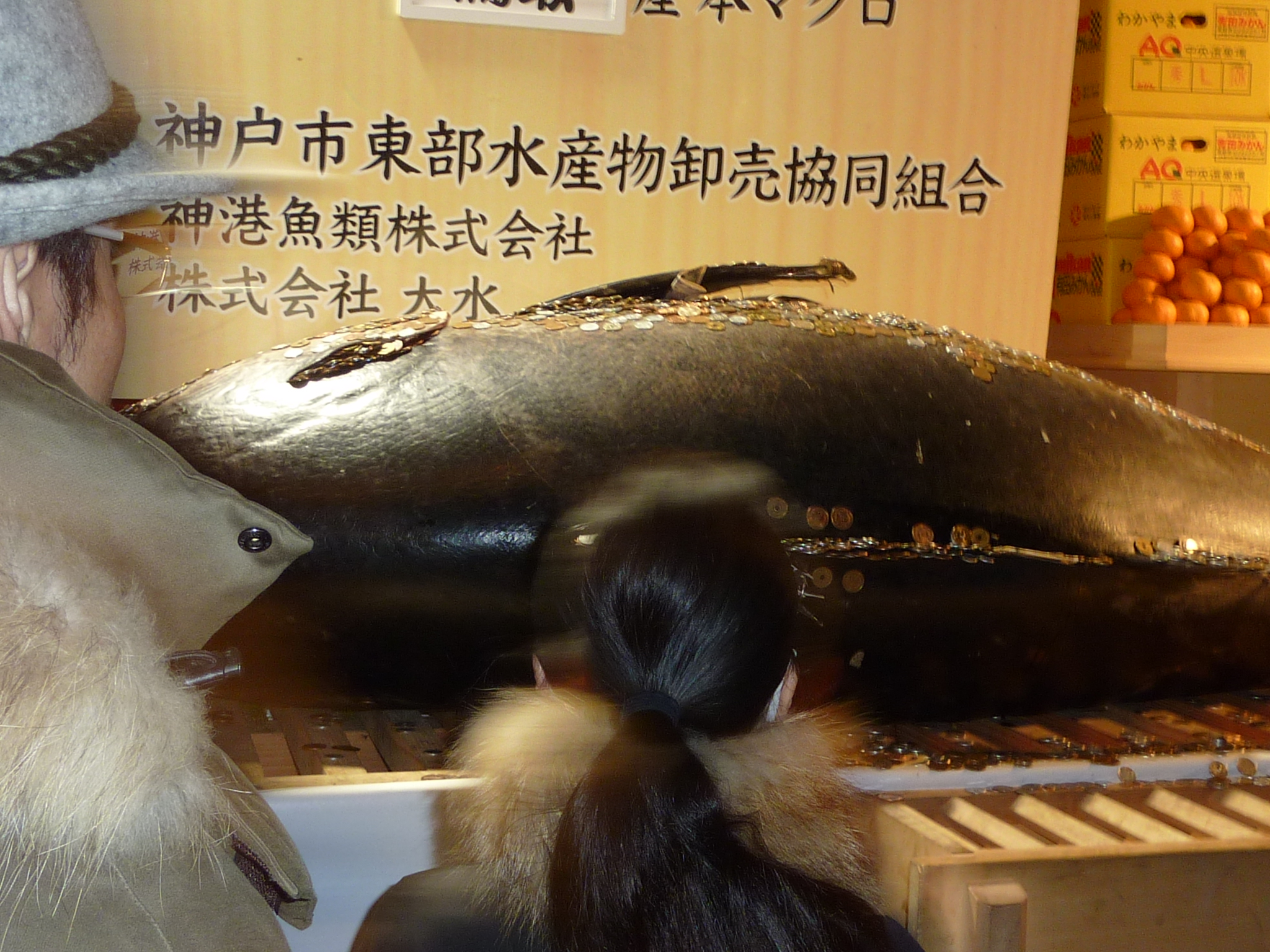 P1010057.JPG