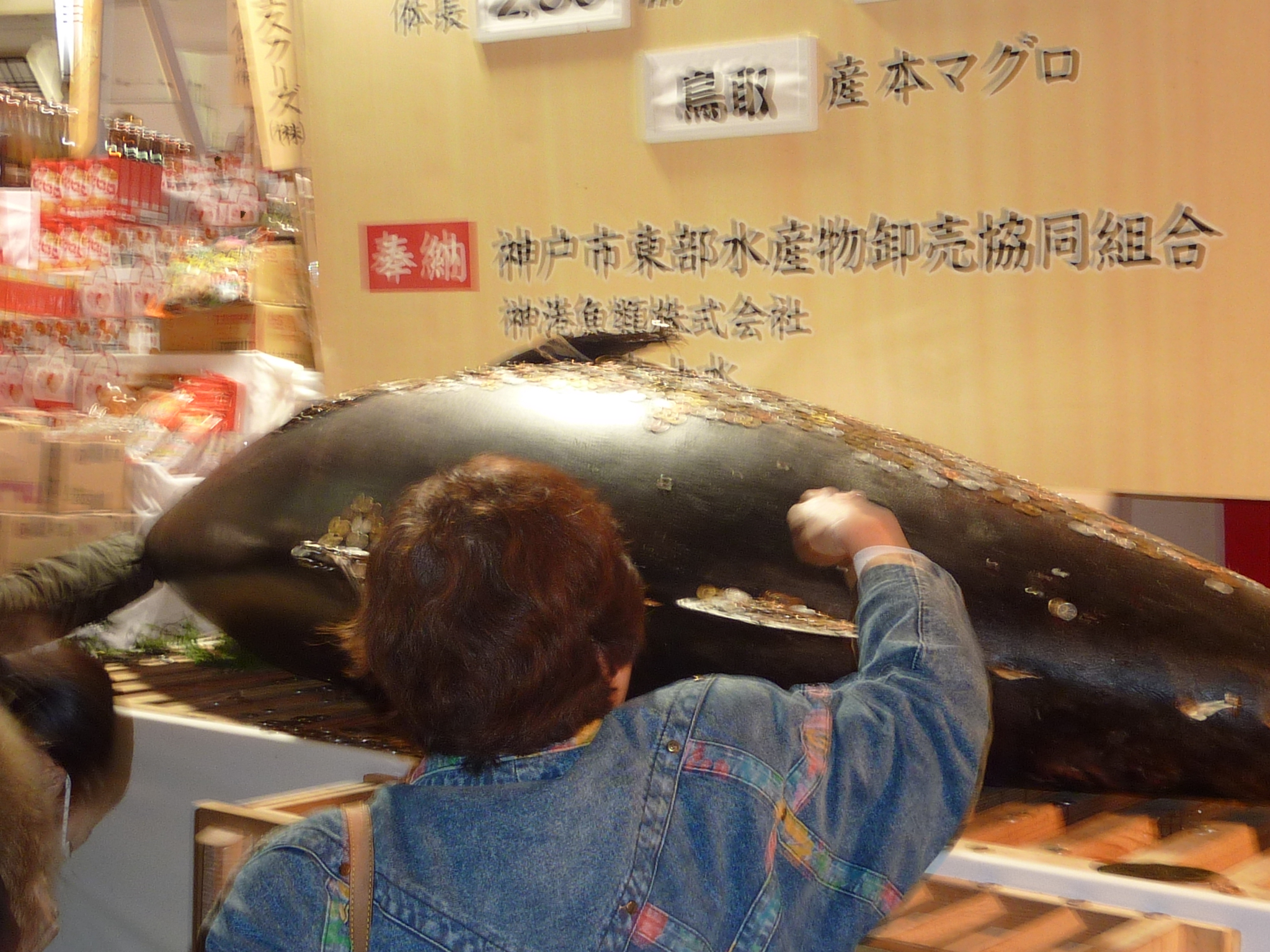 P1010058.JPG