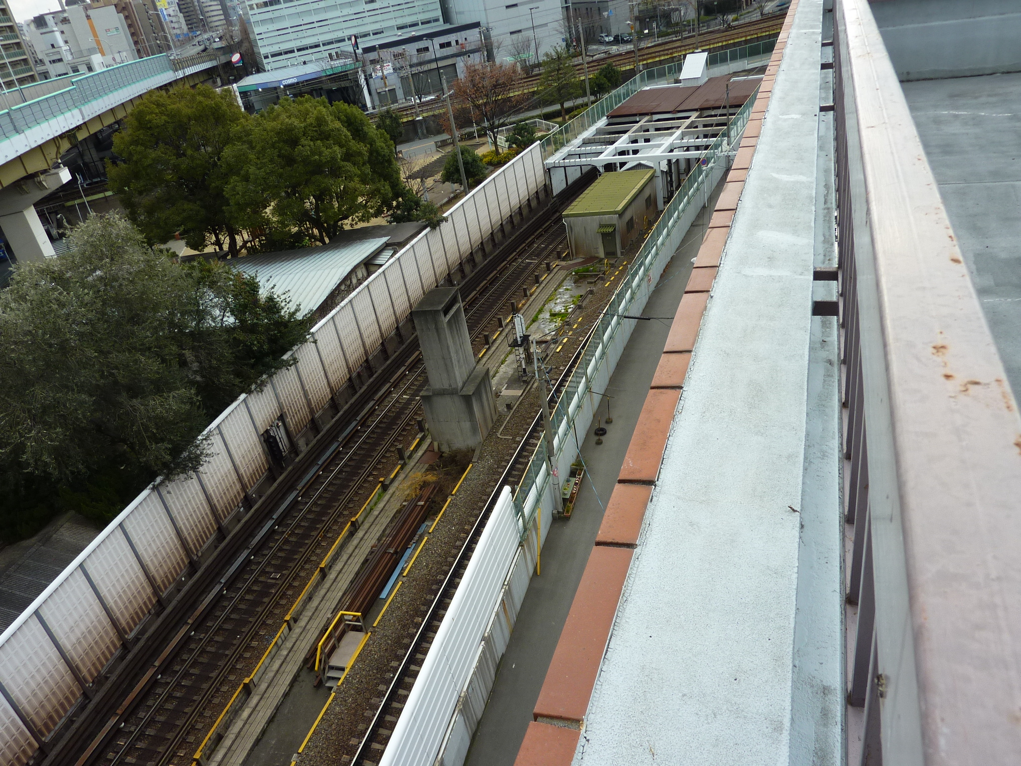 P1010203.JPG