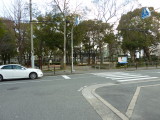 img0004.jpg