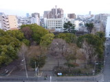 img0011.jpg