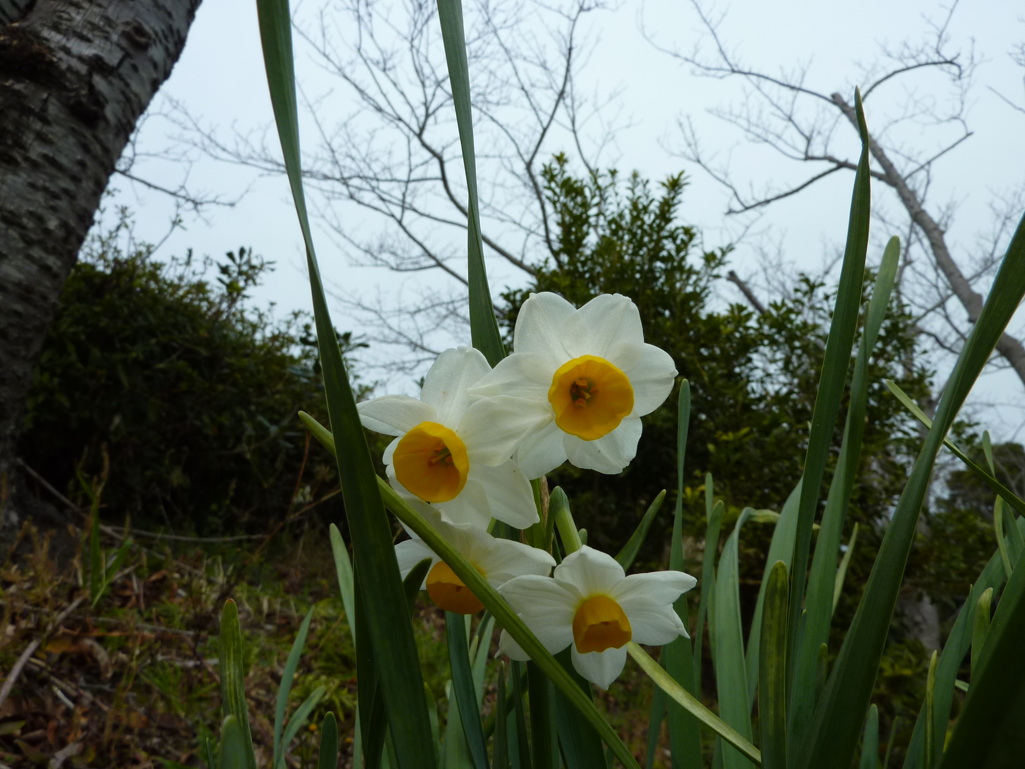 P1010516.JPG