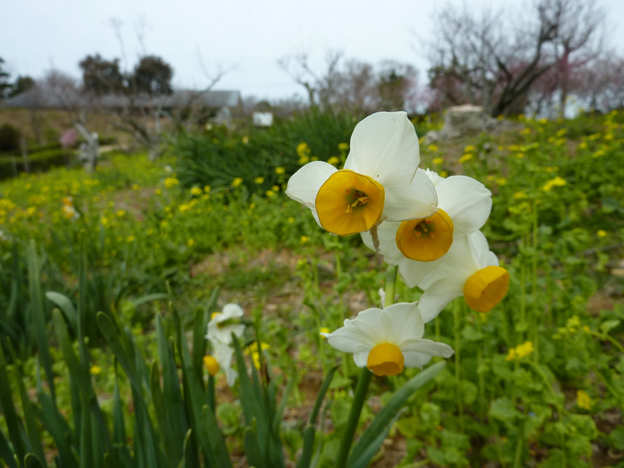 P1010523.JPG