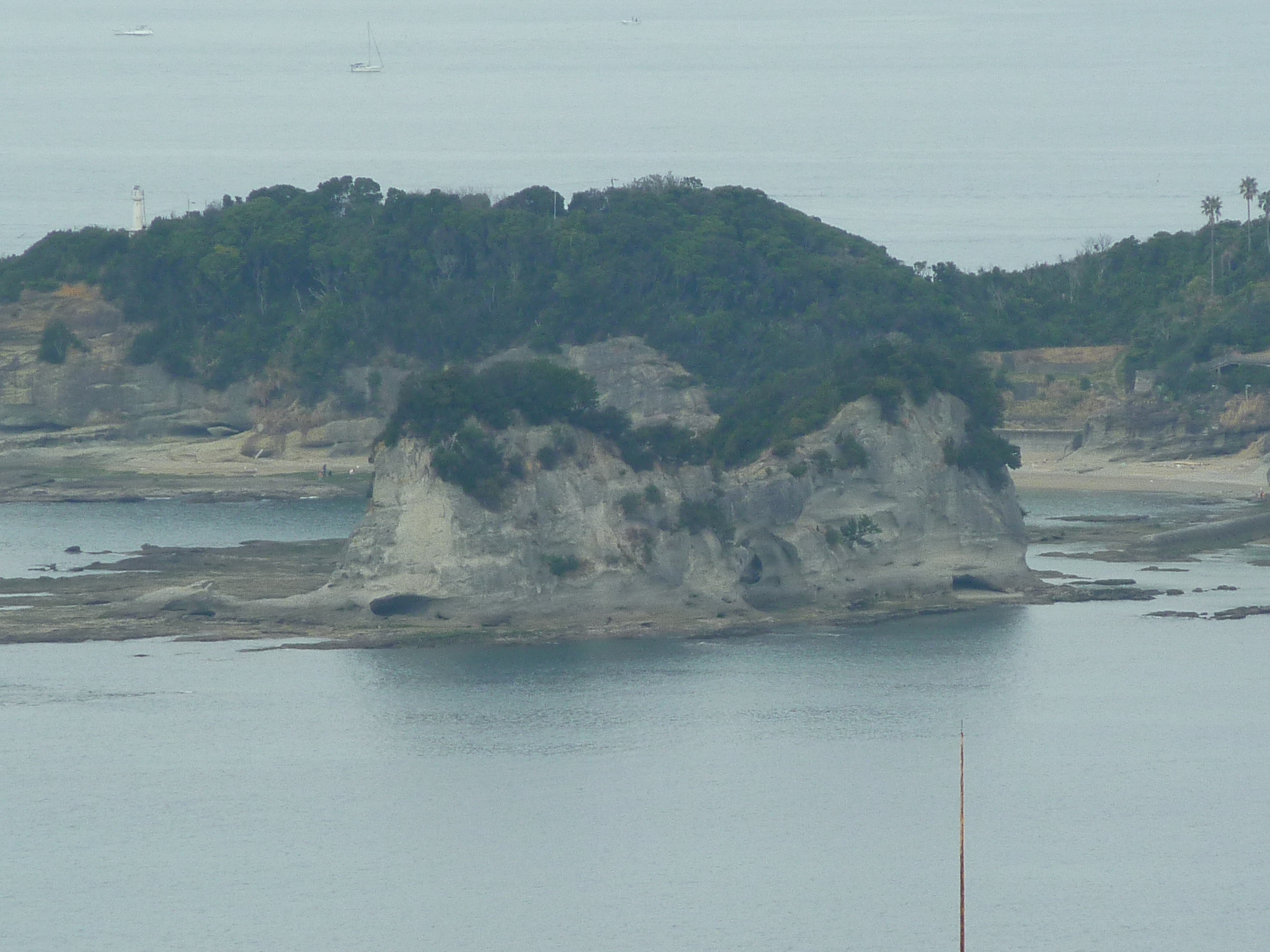 P1010527.JPG