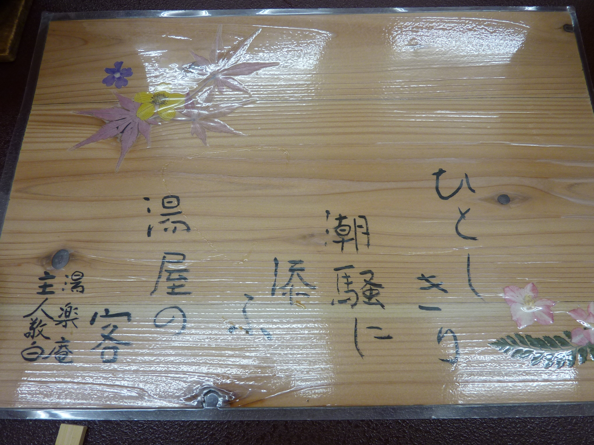 P1010541.JPG