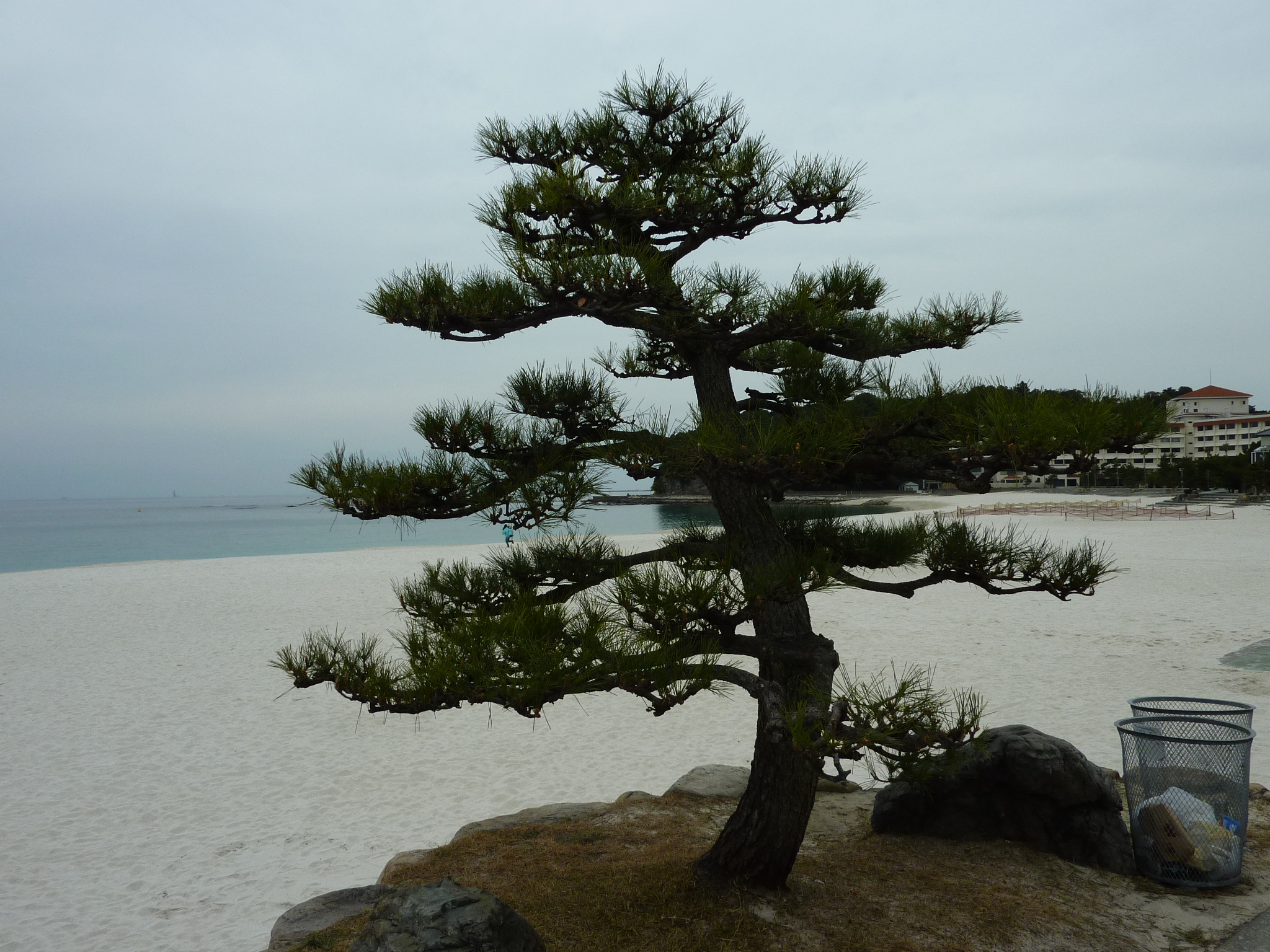 P1010556.JPG