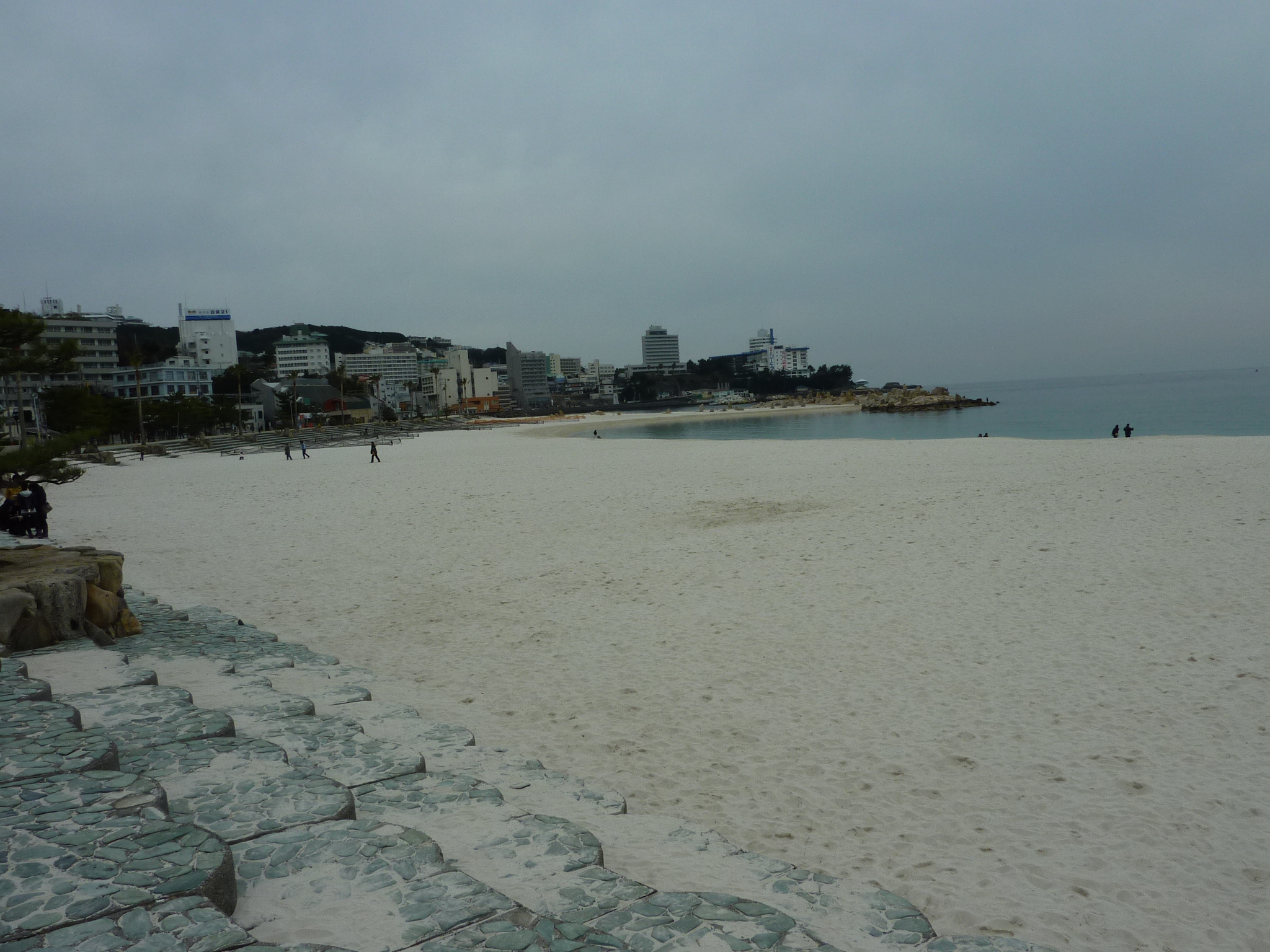 P1010558.JPG