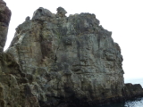 img0005.jpg