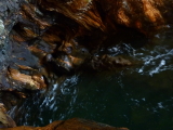 img0009.jpg