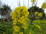img0022.jpg