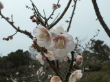 img0023.jpg