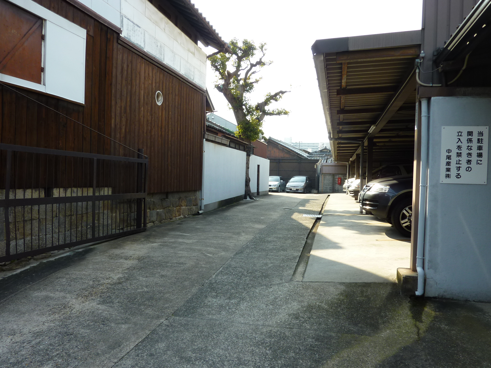 P1010590.JPG