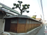 img0003.jpg