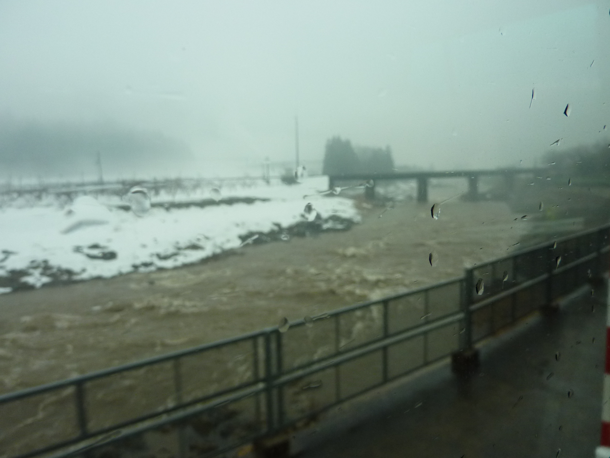 P1010636.JPG