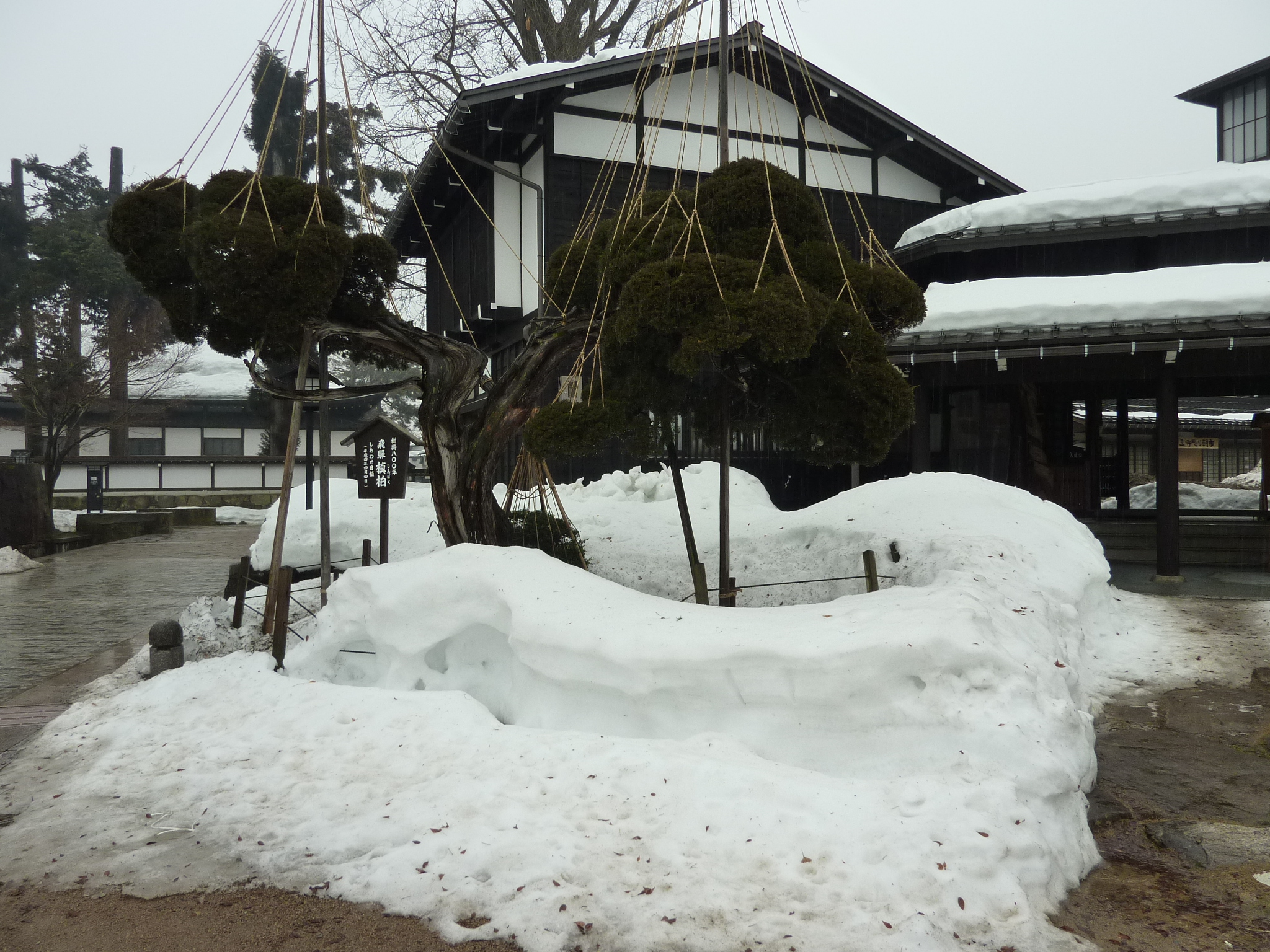 P1010643.JPG