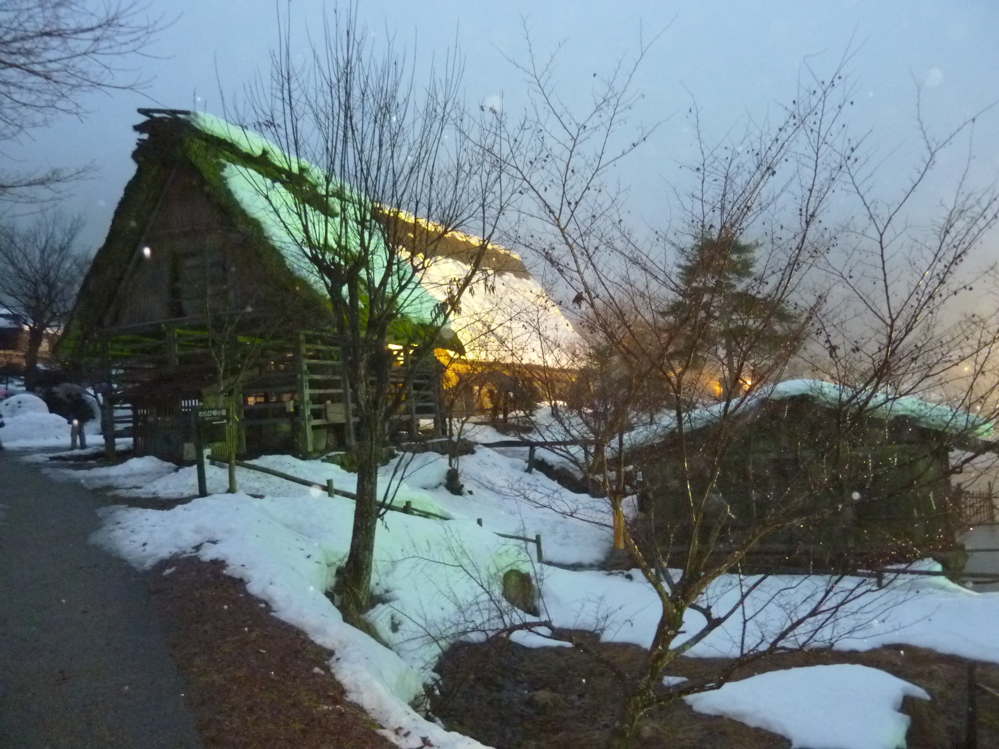 P1010674.JPG