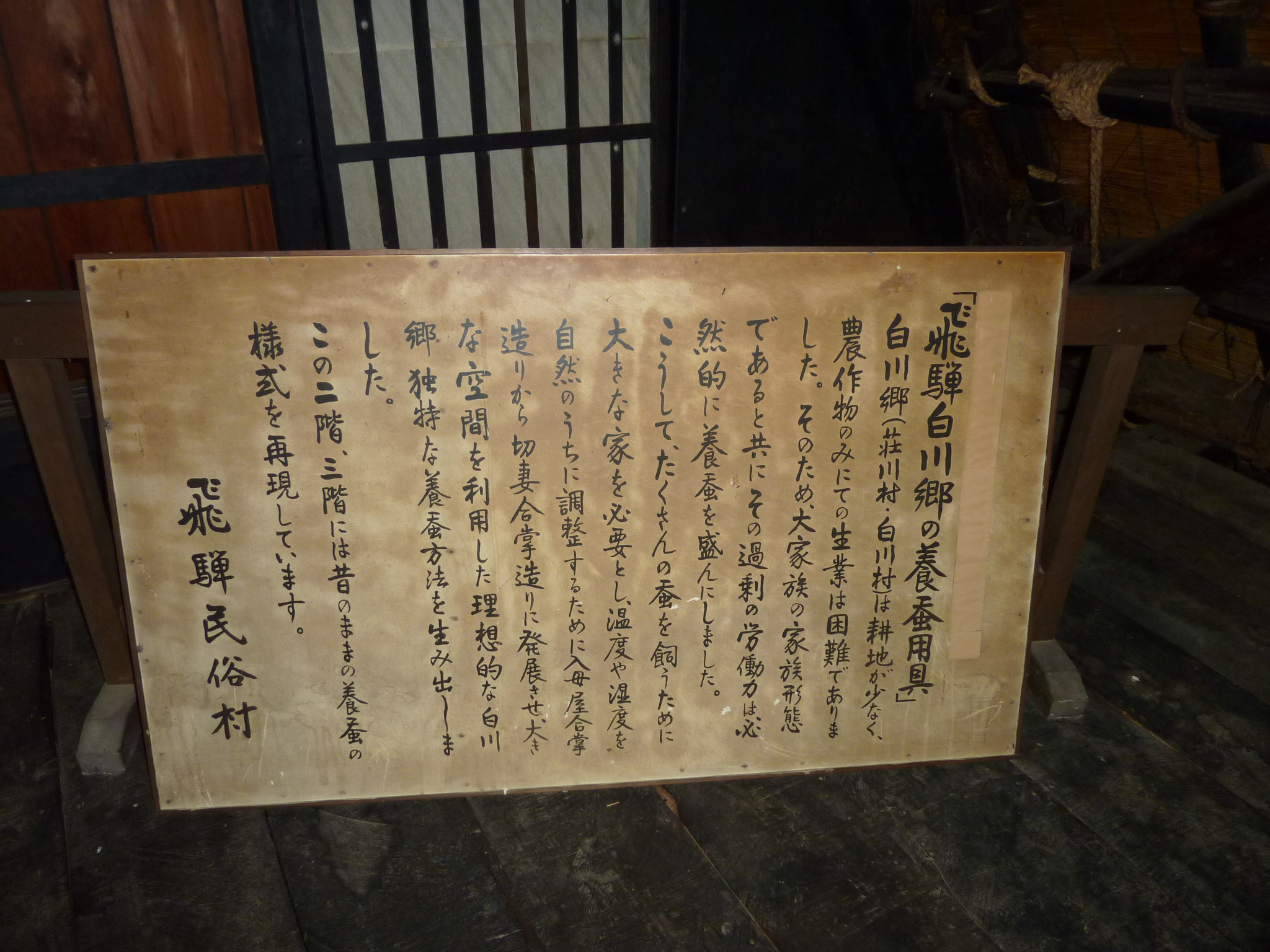 P1010677.JPG