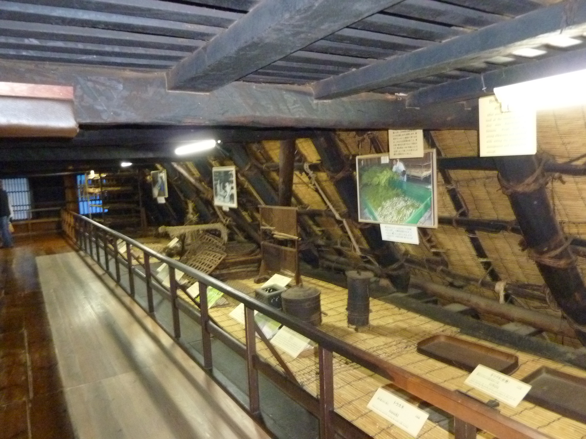 P1010678.JPG