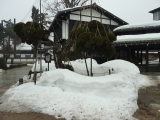 img0017.jpg