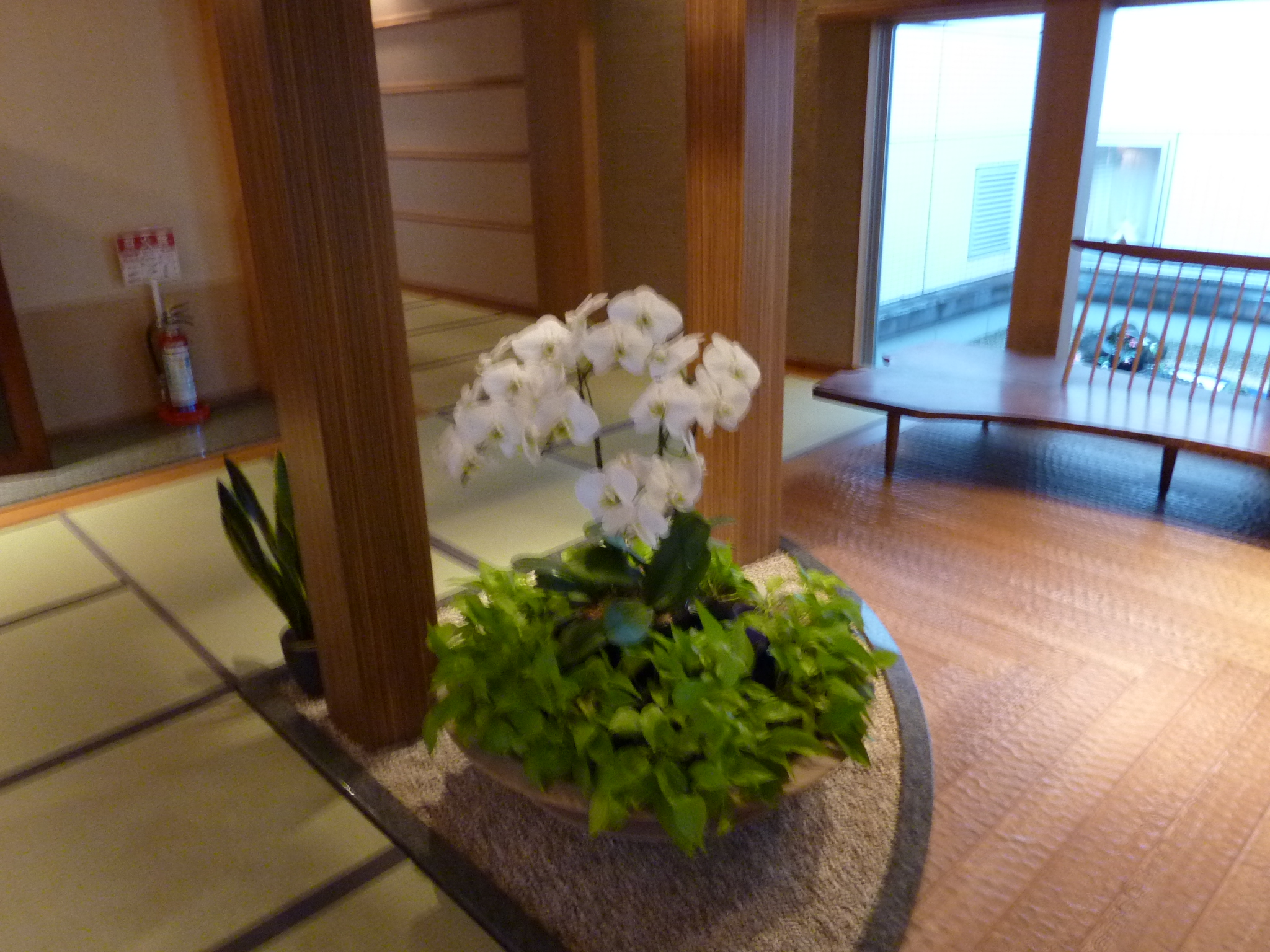 P1010714.JPG