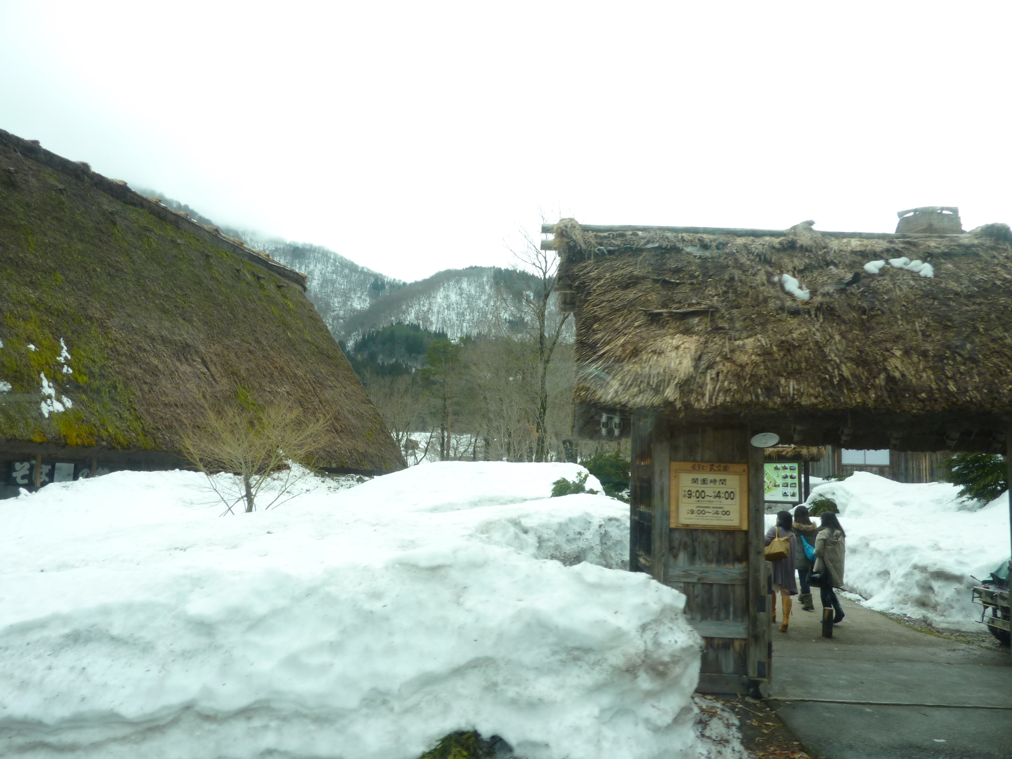 P1010845.JPG