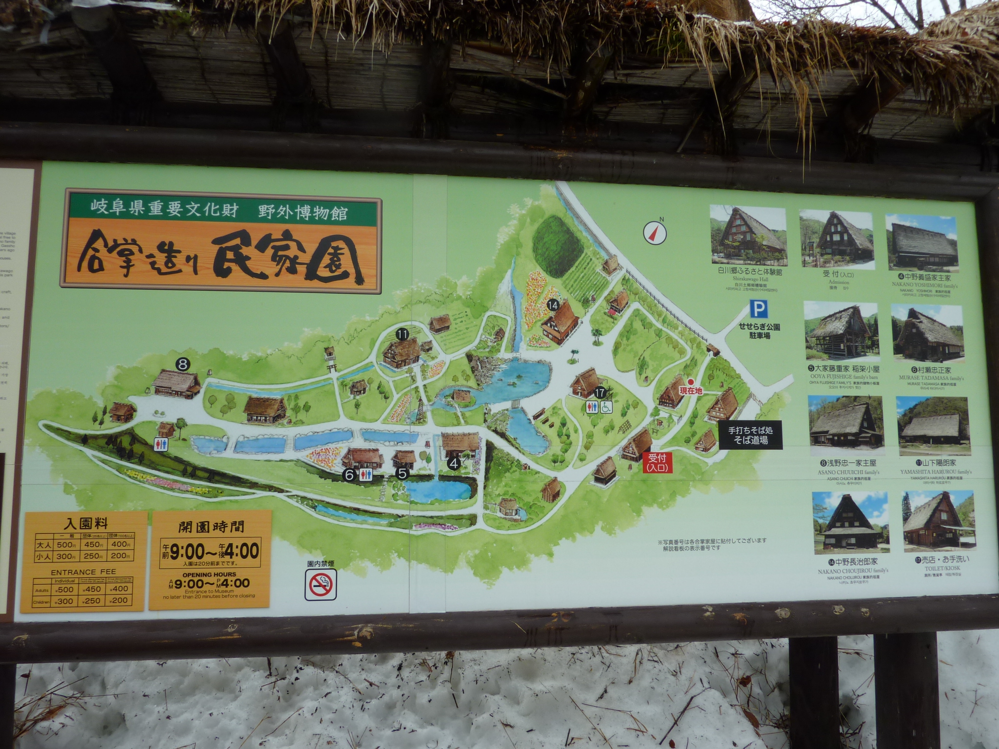 P1010848.JPG