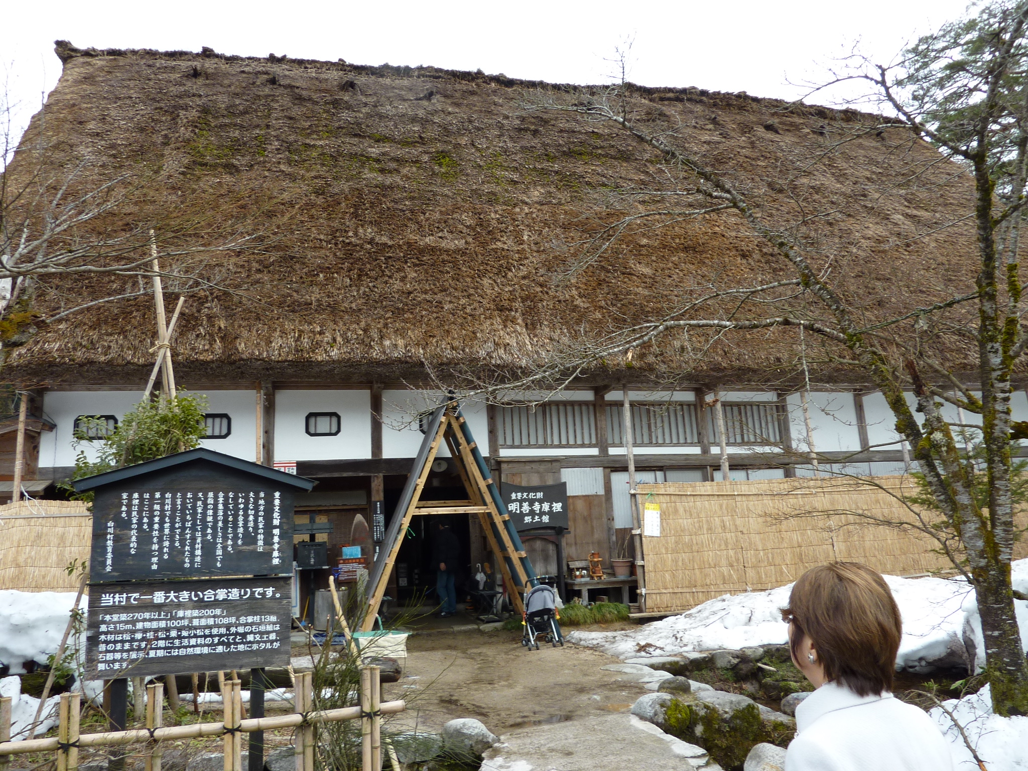 P1010866.JPG
